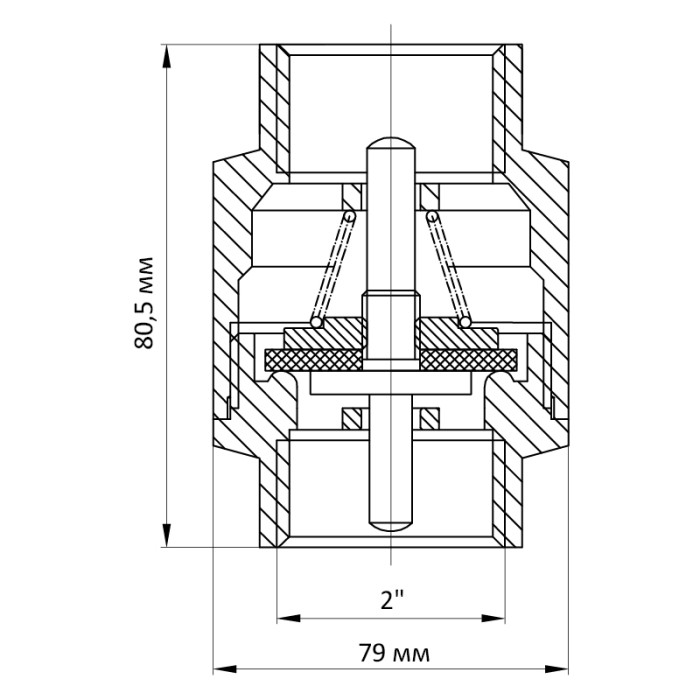 Клапан зворотний NEW 2" (Koer KR.172) (KR2812) Клапан зворотний NEW 2" (Koer KR.172) (KR2812)