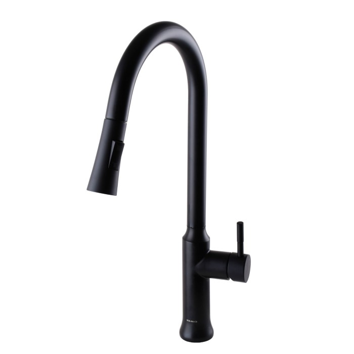 Змішувач для кухні Globus Lux ALPEN SBT1-2033-BB Змішувач для кухні Globus Lux ALPEN SBT1-2033-BB