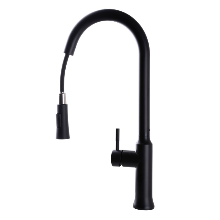 Змішувач для кухні Globus Lux ALPEN SBT1-2033-BB Змішувач для кухні Globus Lux ALPEN SBT1-2033-BB