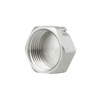 Заглушка Thermo Alliance Forte 1" ВР SF35225