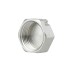 Заглушка Thermo Alliance Forte 1" ВР SF35225