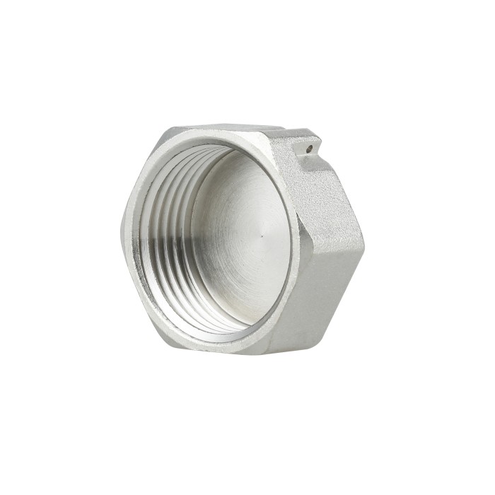 Заглушка Thermo Alliance Forte 1" ВР SF35225 Заглушка Thermo Alliance Forte 1" ВР SF35225