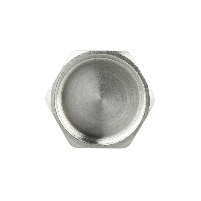 Заглушка Thermo Alliance Forte 1" ВР SF35225 Заглушка Thermo Alliance Forte 1" ВР SF35225