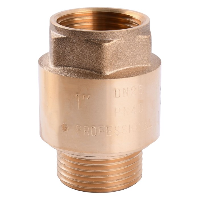 Клапан зворотнього ходу води Q PROFESSIONAL 1″ НВ QP100MF Клапан зворотнього ходу води Q PROFESSIONAL 1″ НВ QP100MF