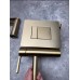 Панель змиву Koer KT-0607-12 157x198x10mm пластикова, кнопка квадратна (колір матове золото) (KR5715)