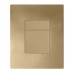 Панель змиву Koer KT-0607-12 157x198x10mm пластикова, кнопка квадратна (колір матове золото) (KR5715)