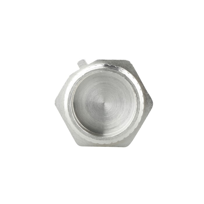 Заглушка Thermo Alliance Forte 1" ЗР SF35325 Заглушка Thermo Alliance Forte 1" ЗР SF35325