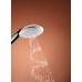 Ручний душ Grohe Tempesta 110 (27601003)