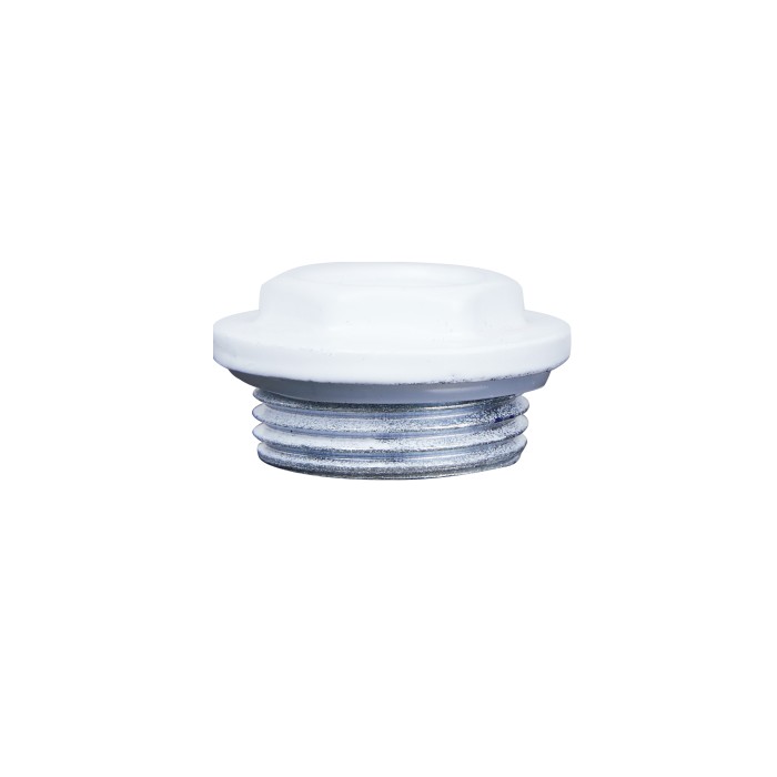 Заглушка радіаторна Thermo Alliance Standart 1" права SD11725D Заглушка радіаторна Thermo Alliance Standart 1" права SD11725D