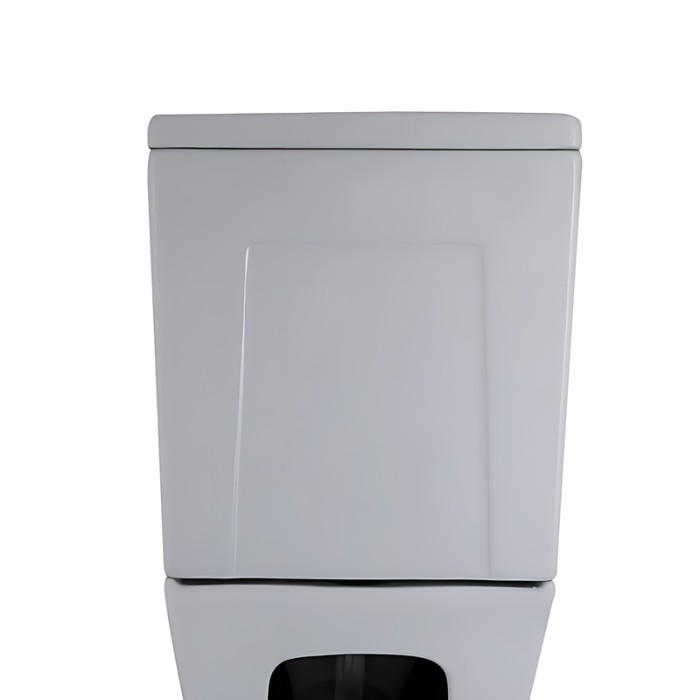 Бачок до унітазу-компакту Mixxus Premium Style-0401-T3 Tank 620х365х805 зі зливною арматурою (MI8328) Бачок до унітазу-компакту Mixxus Premium Style-0401-T3 Tank 620х365х805 зі зливною арматурою (MI8328)