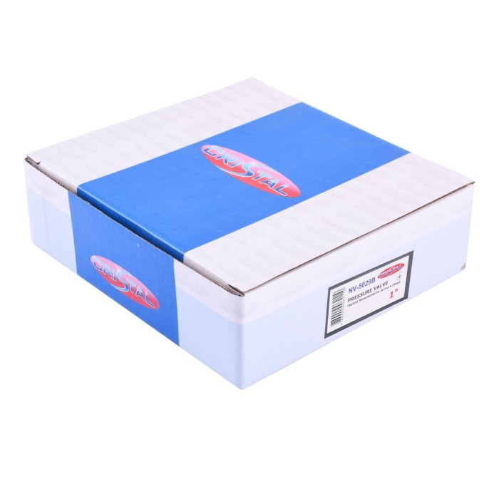 Група безпеки котла (корпус) 1″ NV - 5029B (2шт в упаковці) Група безпеки котла (корпус) 1″ NV - 5029B (2шт в упаковці)