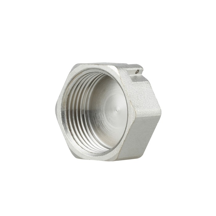 Заглушка Thermo Alliance Forte 3/4" ВР SF35220 Заглушка Thermo Alliance Forte 3/4" ВР SF35220