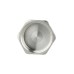 Заглушка Thermo Alliance Forte 3/4" ВР SF35220